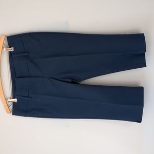 Zac & Rachel capri pants